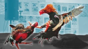 Cách Chơi Đá Gà Sabong GA28 88Bet Thắng Lớn Kịch Tính 2025