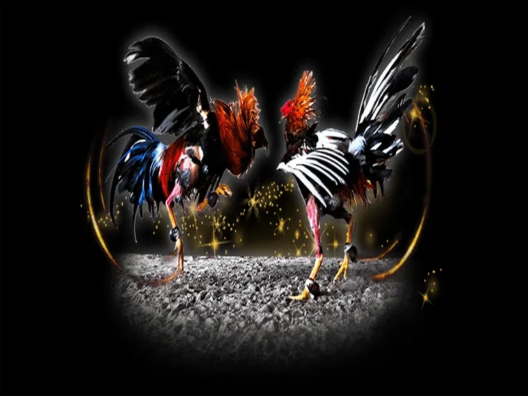 Đá Gà 88Bet Cơ Hội Thắng Lớn Với Trận Đấu Kịch Tính 2025